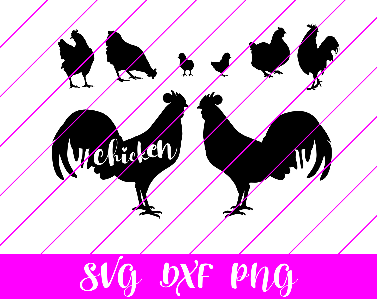 Chicken SVG
